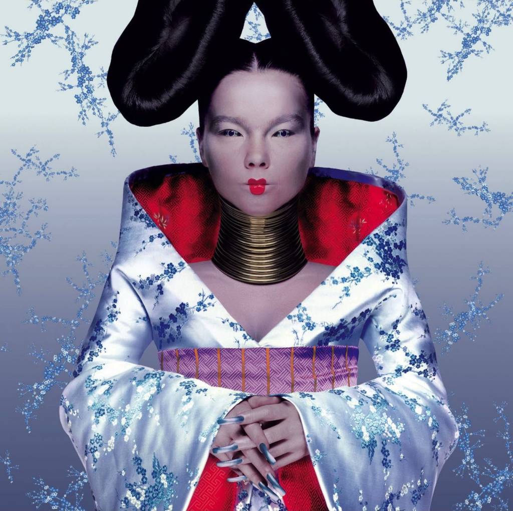 bjork-homogenic