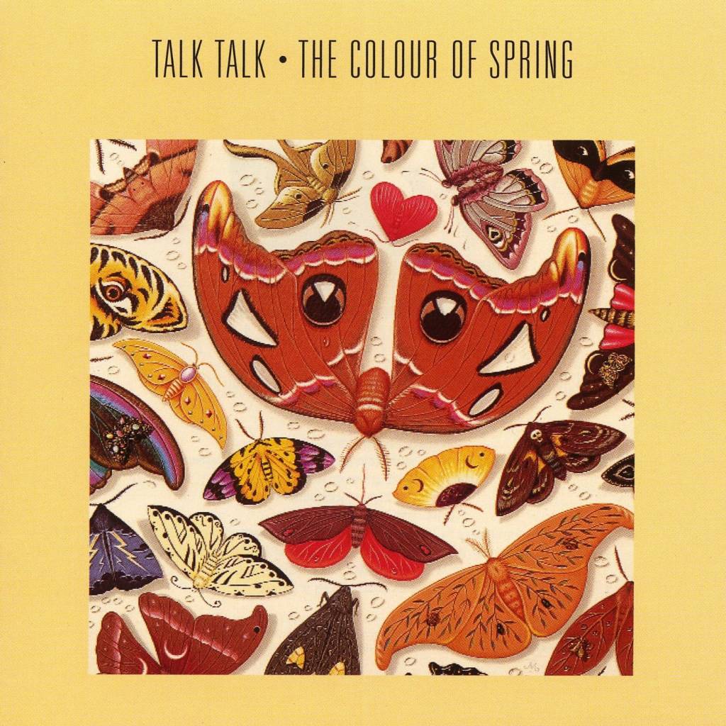 talk-talk